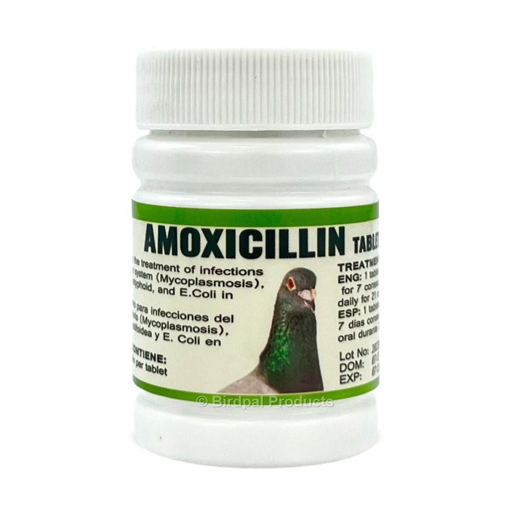 amoxicillin-10mg-tablets-for-birds-generx-treatments-687814_1024x-1.jpg