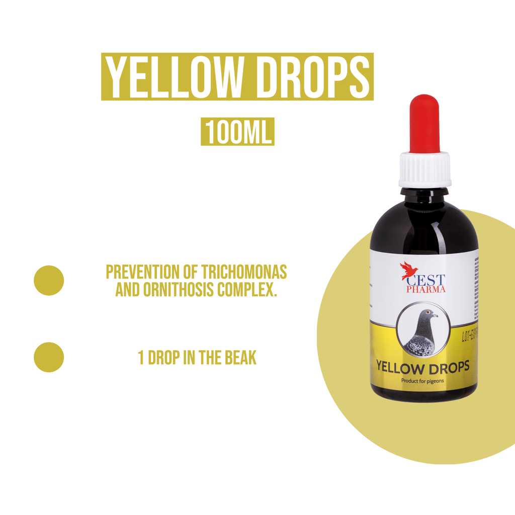 cest-yellow-drops-for-pigeons-eliminates-fungi-canker-bacteria-cest-pharma-143337_1024x.png