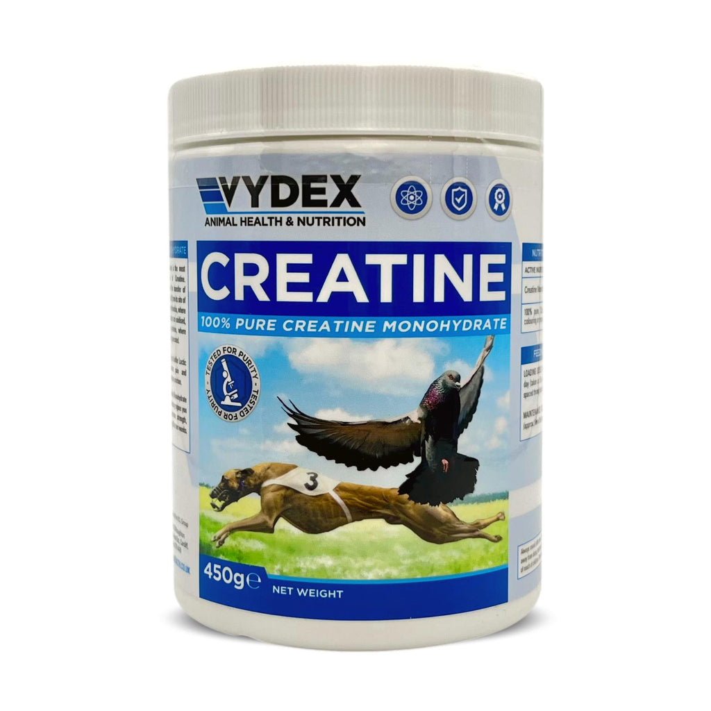 creatine-monohydrate-for-muscle-strength-power-stamina-vydex-animal-health-233249_1024x-1.jpg