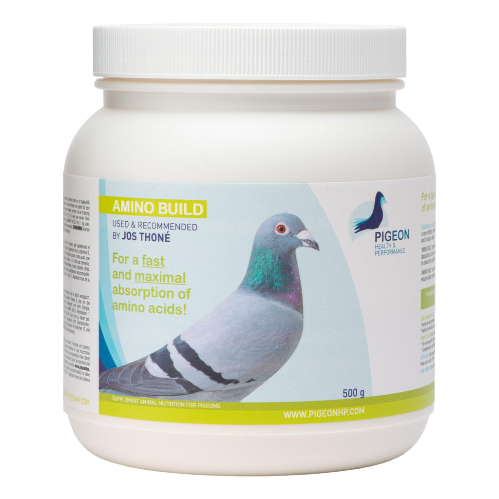 php-amino-build-muscle-building-amino-acids-pigeon-health-performance-163341_1024x-1.jpg