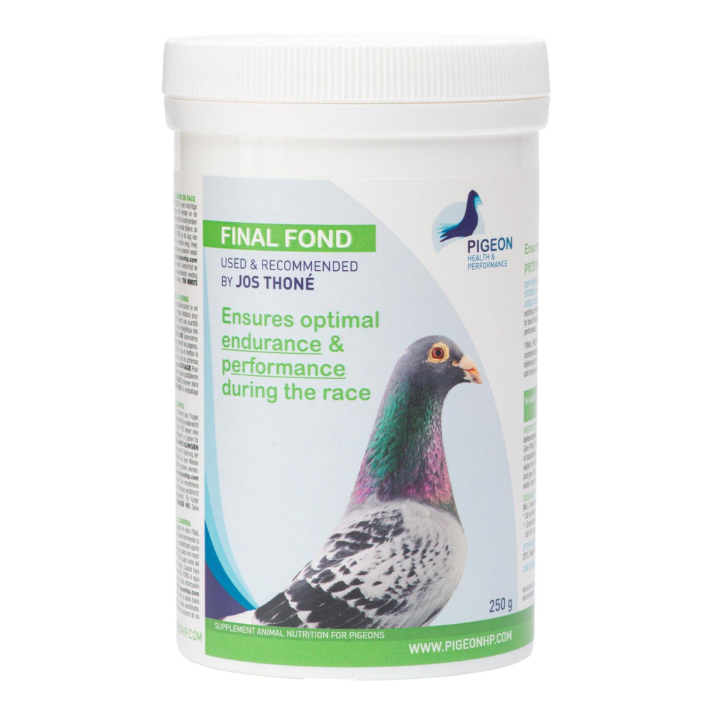 php-final-fond-long-distance-energy-pigeon-health-performance-539556_1024x-1.jpg