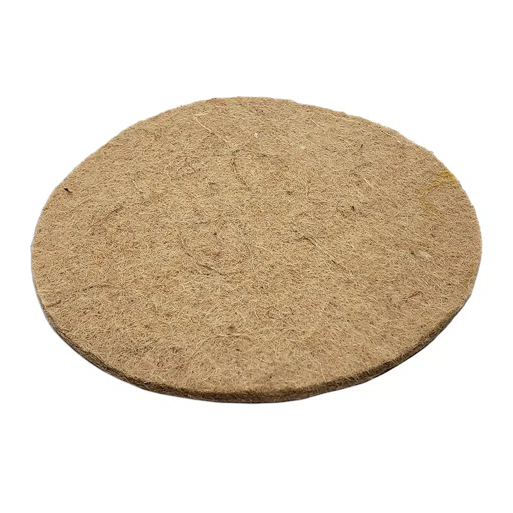 Belguim Pigeon Next Pads